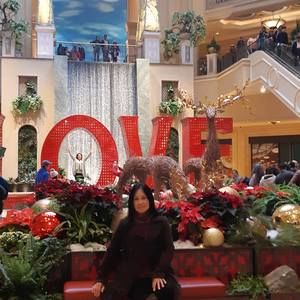 Meet your Posher, Anna